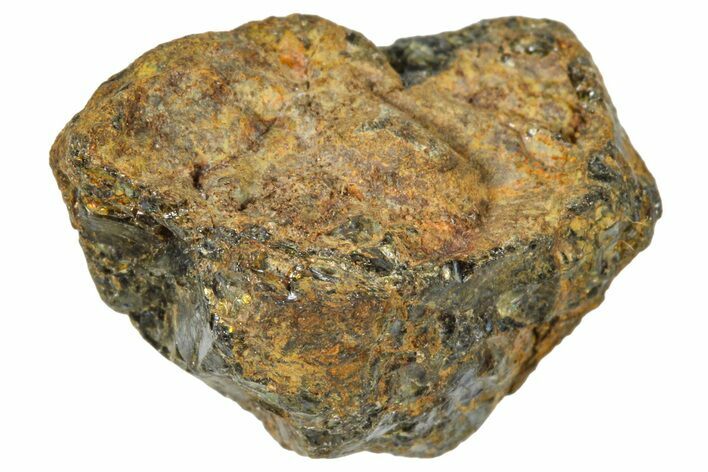 Pallasite Meteorite ( g) - NWA #367768